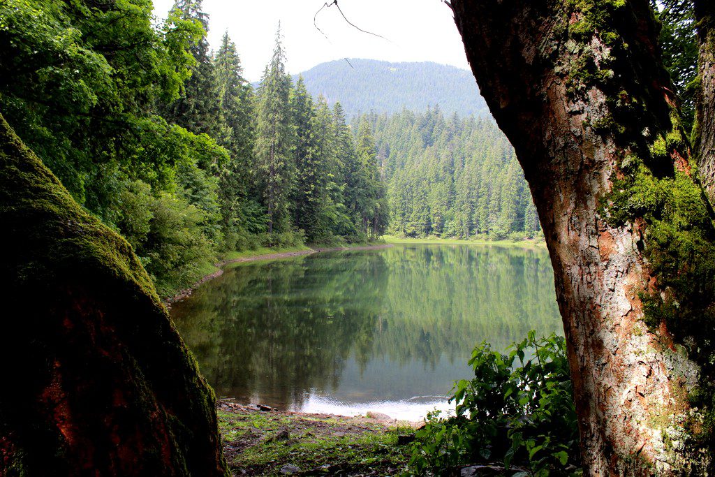 Synevyr lake, Ukraine