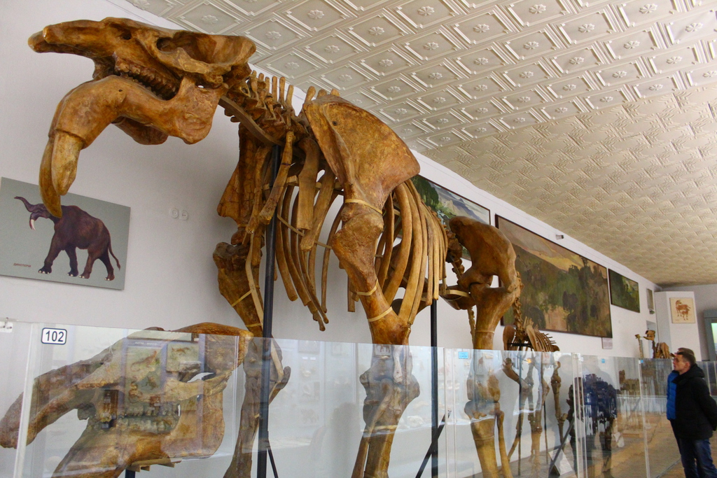 National museum of natural history, Kyiv, Ukraine
