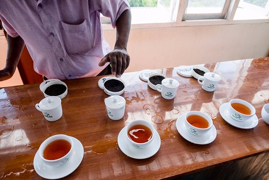 Шри-Ланка, чайная фабрика Halpewatte