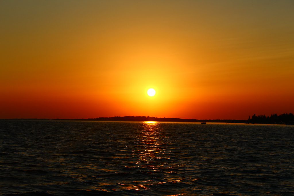 l'ile de Dzharylgac, Kherson region, Ukraine