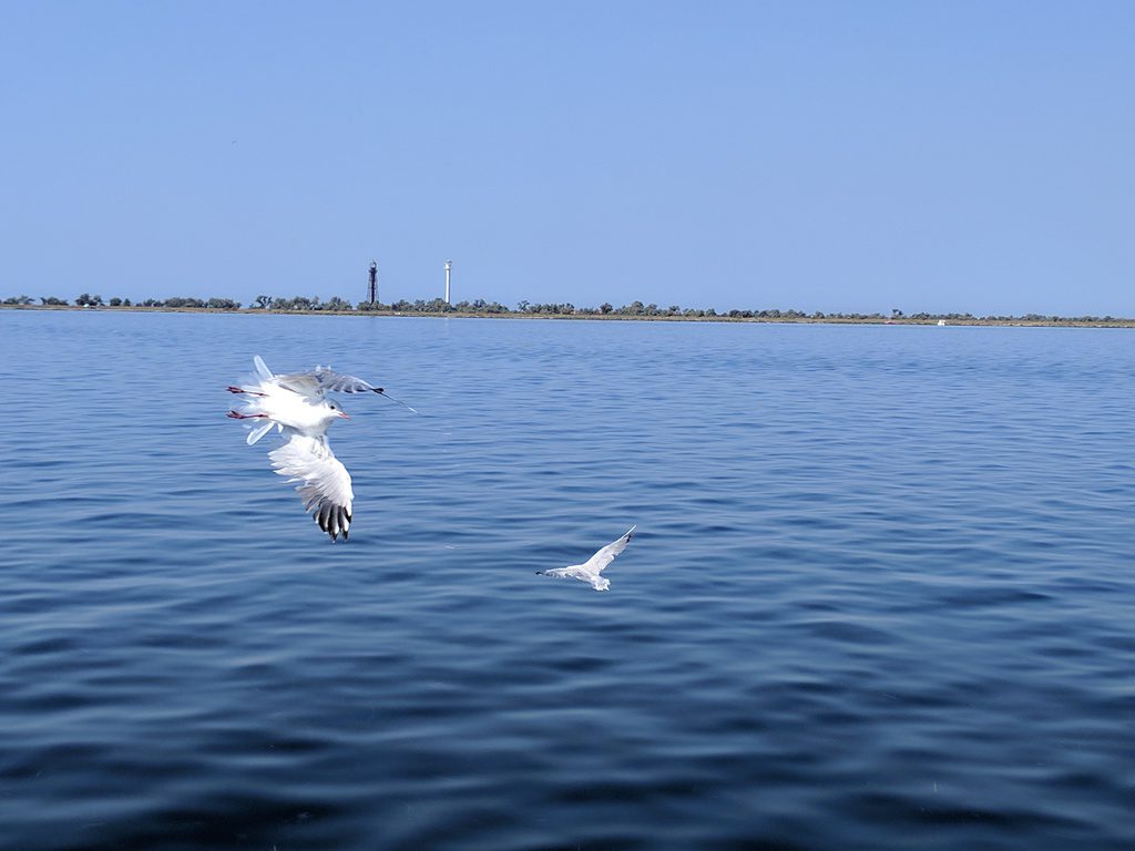 L'ile Dzharylgac, Kherson region, Ukraine