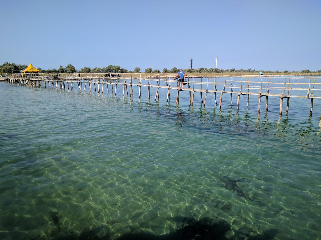 l'ile de Dzharylgac, Kherson region, Ukraine