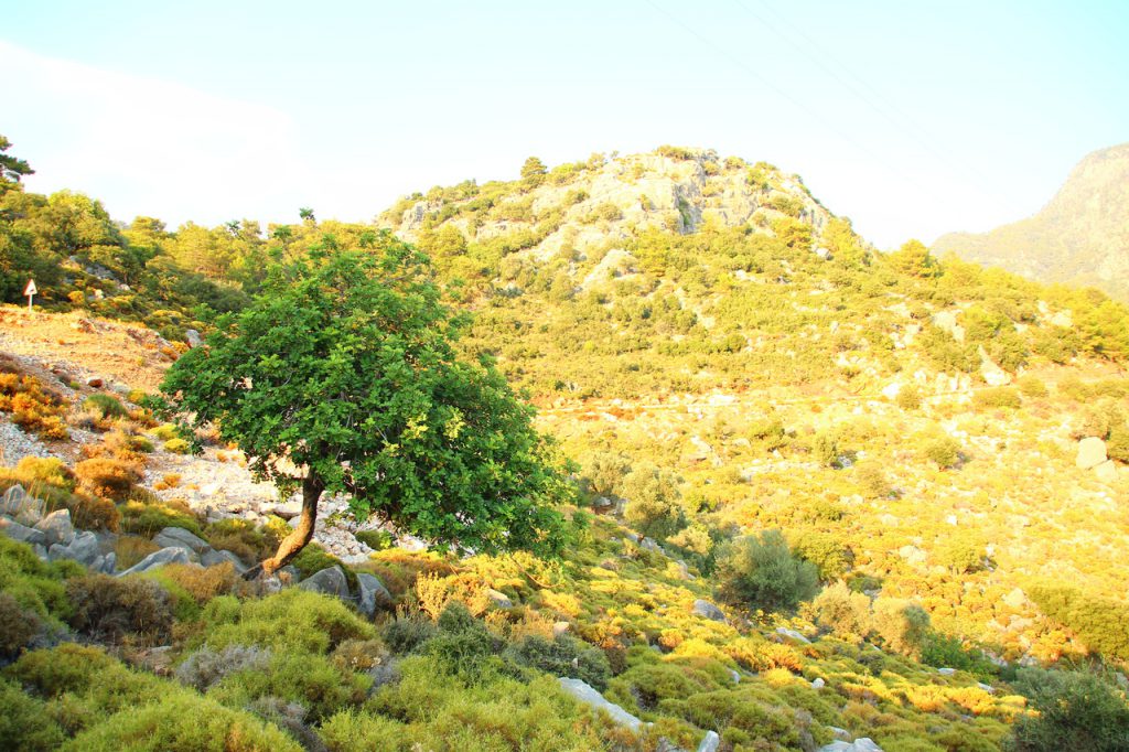 Turkey, Oludeniz, Fethiye, Butterfly Valley