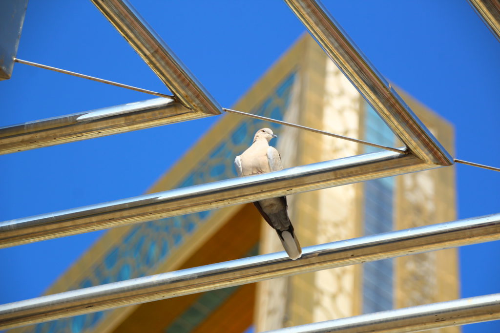 Dubai, Dubai Frame museum