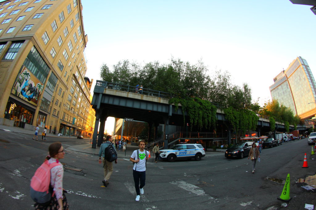 USA, New York, High Line Park