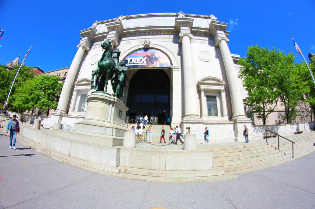 USA, New York, American Museum of Natural History