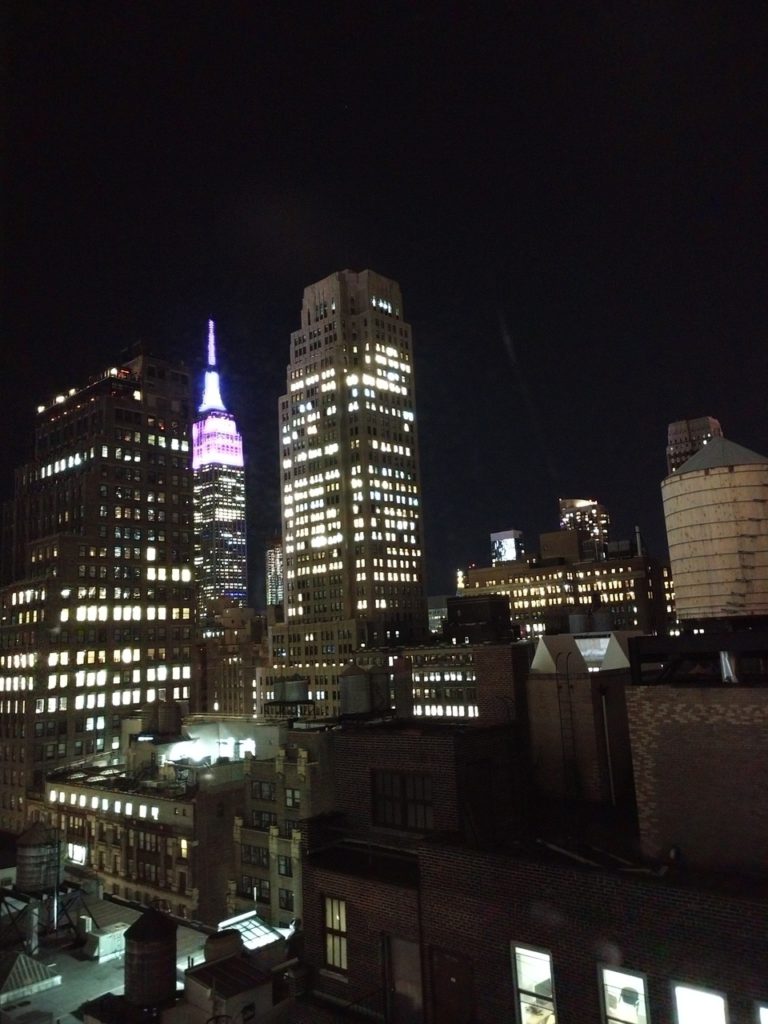 USA, New York, rooftop, Empire State Building
