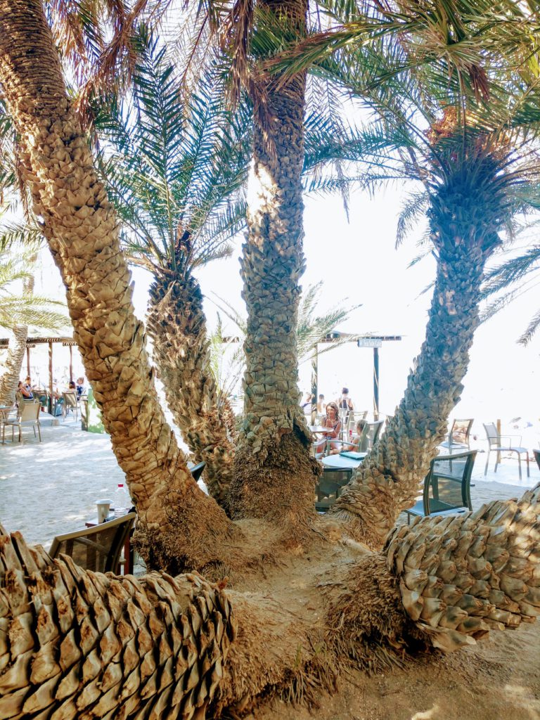 Пальмовий пляж Ваї, Крит, Греція