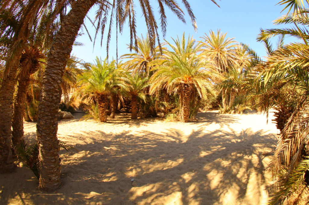 Пальмовий пляж Ваї, Крит, Греція